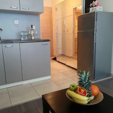 Beautiful N31 Apartment Sofia